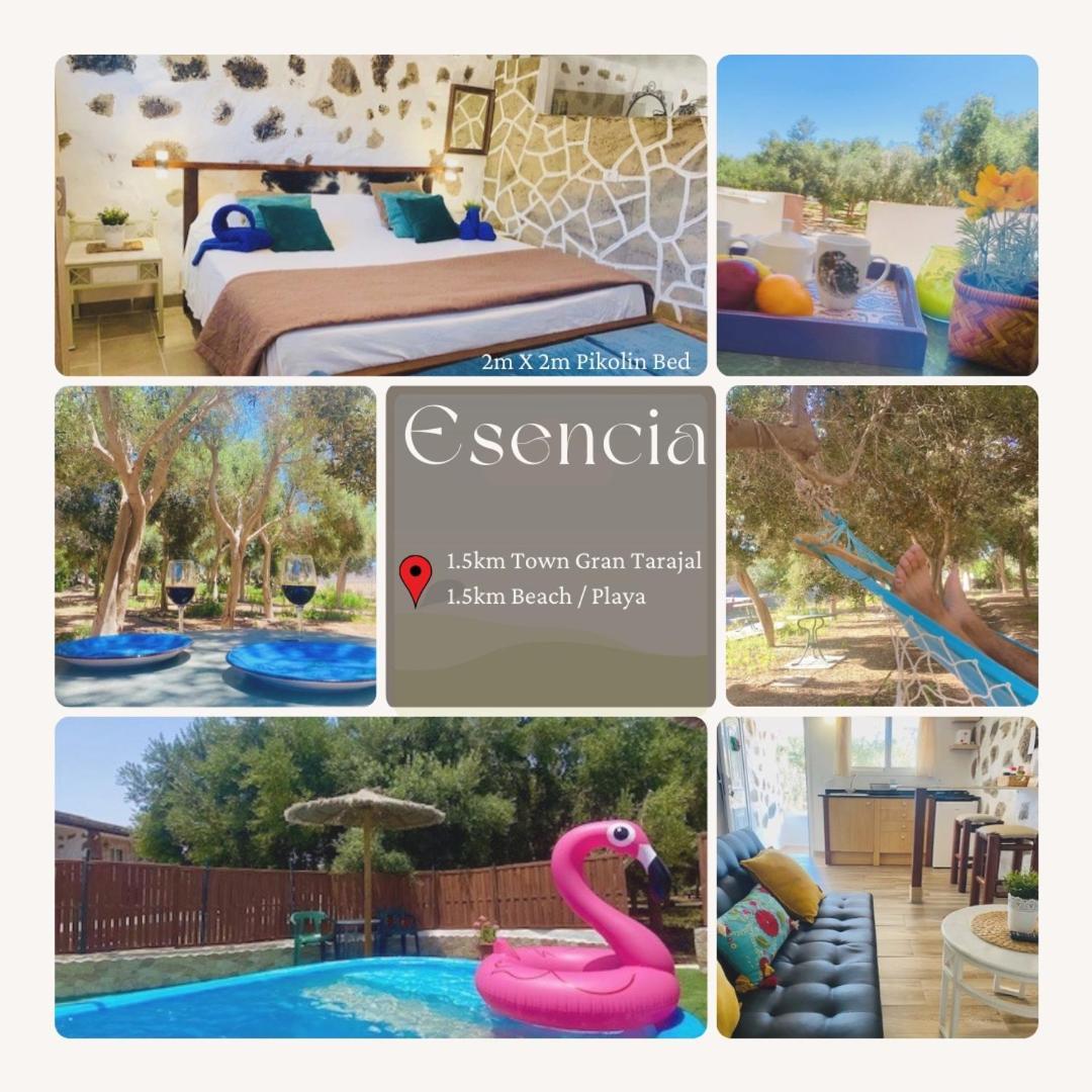 Bungalow Alma #Only Adults El Charco  المظهر الخارجي الصورة